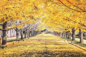 ～丸の内の信託博物館を訪ねて～